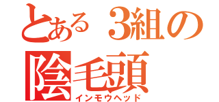 とある３組の陰毛頭（インモウヘッド）