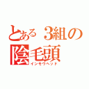 とある３組の陰毛頭（インモウヘッド）