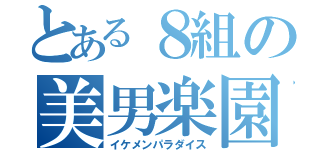 とある８組の美男楽園（イケメンパラダイス）