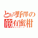 とある野澤の筋有蜜柑（オンパレード）