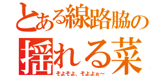 とある線路脇の揺れる菜の花（そよそよ、そよよぉ～）