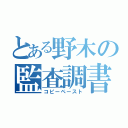 とある野木の監査調書（コピーペースト）