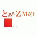 とあるＺＭの（