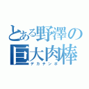 とある野澤の巨大肉棒（デカチンポ）