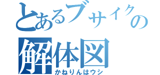 とあるブサイク牛の解体図（かねりんはウシ）