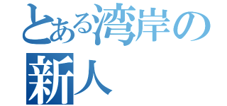 とある湾岸の新人（）