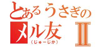 とあるうさぎのメル友Ⅱ（（じゅーじか））