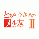 とあるうさぎのメル友Ⅱ（（じゅーじか））