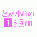 とある小萌の１３５㎝（いやコレが魔術）