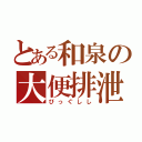 とある和泉の大便排泄（びっぐしし）