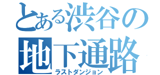 とある渋谷の地下通路（ラストダンジョン）