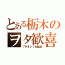 とある栃木のヲタ歓喜（プラオレ！を放送）