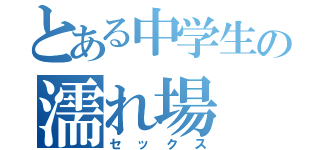 とある中学生の濡れ場（セックス）