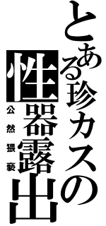 とある珍カスの性器露出Ⅱ（公然猥褻）