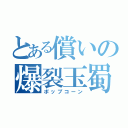 とある償いの爆裂玉蜀黍（ポップコーン）