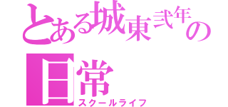 とある城東弐年の日常（スクールライフ）