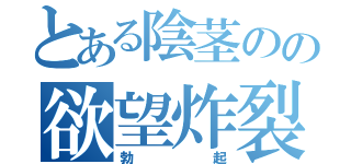 とある陰茎のの欲望炸裂（勃起）