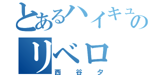 とあるハイキューのリベロ（西谷夕）