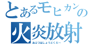 とあるモヒカンの火炎放射機（おぶつはしょうどくだ～）