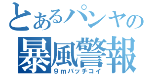 とあるパンヤの暴風警報（９ｍバッチコイ）