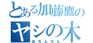 とある加藤鷹のヤシの木（おちんちん）