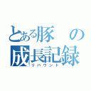 とある豚の成長記録（リバウンド）