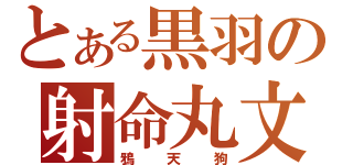 とある黒羽の射命丸文（鴉天狗）