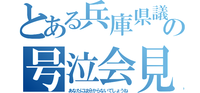 とある兵庫県議員の号泣会見（あなたには分からないでしょうね）