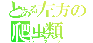 とある左方の爬虫類（テッラ）