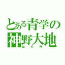 とある青学の神野大地（山の神）