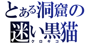 とある洞窟の迷い黒猫（クロギコ）