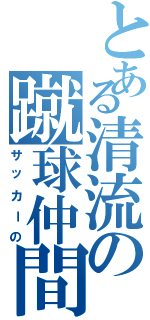 とある清流の蹴球仲間（サッカーの）