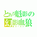 とある魁影の幻影血狼（影ゴースト）