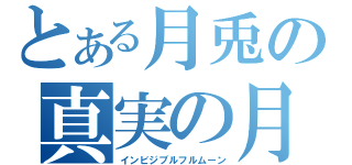 とある月兎の真実の月（インビジブルフルムーン）