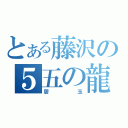 とある藤沢の５五の龍ｓ（居玉）