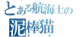 とある航海士の泥棒猫（ナミ）