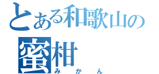 とある和歌山の蜜柑（みかん）