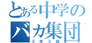 とある中学のバカ集団（３年３組）