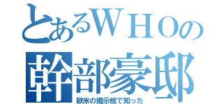 とあるＷＨＯの幹部豪邸（欧米の掲示板で知った）