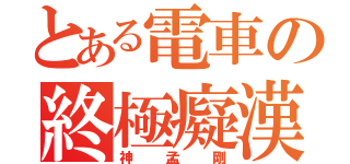 とある電車の終極癡漢（神孟剛）