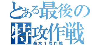 とある最後の特攻作戦（菊水１号作戦）