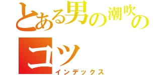 とある男の潮吹きのコツ（インデックス）