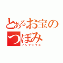 とあるお宝のつぼみ（インデックス）