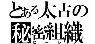 とある太古の秘密組織（ゼーレ）