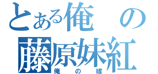 とある俺の藤原妹紅（俺の嫁）