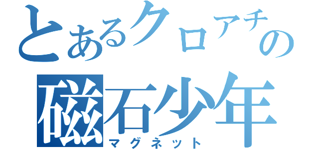 とあるクロアチアの磁石少年（マグネット）