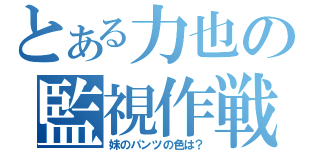 とある力也の監視作戦（妹のパンツの色は？）