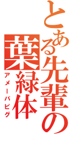 とある先輩の葉緑体（アメーバピグ）