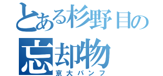 とある杉野目の忘却物（京大パンフ）