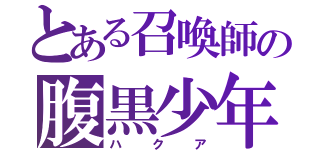 とある召喚師の腹黒少年（ハクア）